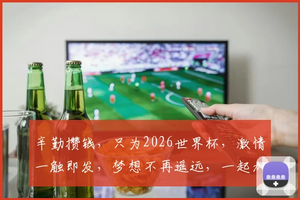 辛勤攒钱，只为2026世界杯，激情一触即发，梦想不再遥远，一起加油