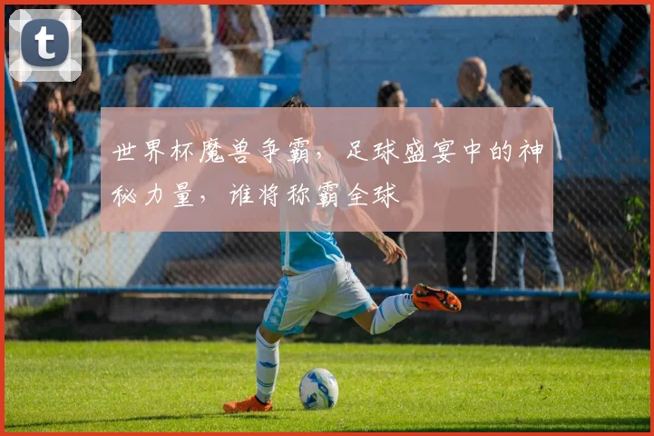 世界杯魔兽争霸，足球盛宴中的神秘力量，谁将称霸全球