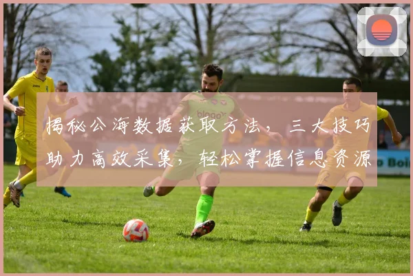 揭秘公海数据获取方法，三大技巧助力高效采集，轻松掌握信息资源，一网打尽